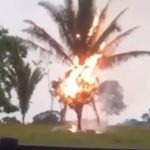 Raio atinge árvore a poucos metros de residência em Cotriguaçu; veja vídeo