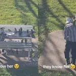 Idosa encanta parque ao atrair pássaros em cena digna de conto de fadas; veja vídeo