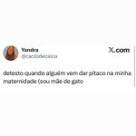 Ser mãe de gato é uma experiência única, mas parece que nem todo mundo entende em destaque