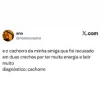 Cachorro recusado em creche por muita energia e latir demais