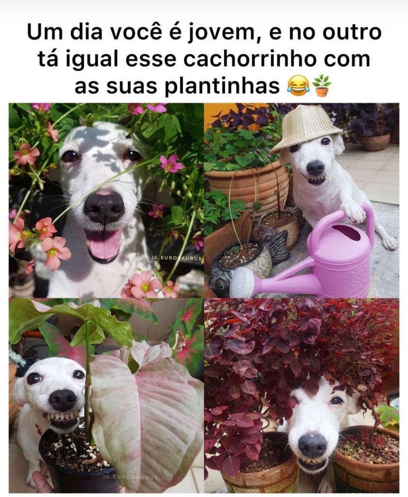 Eu com as minhas plantinhas