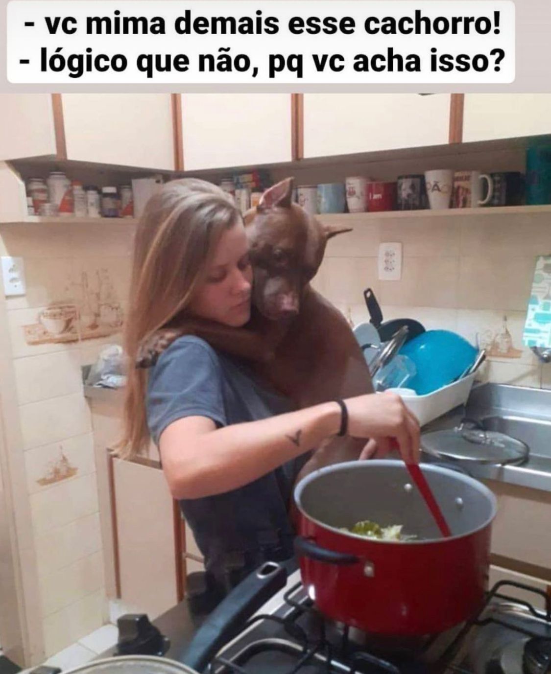 Mimar cachorro, eu? Jamais