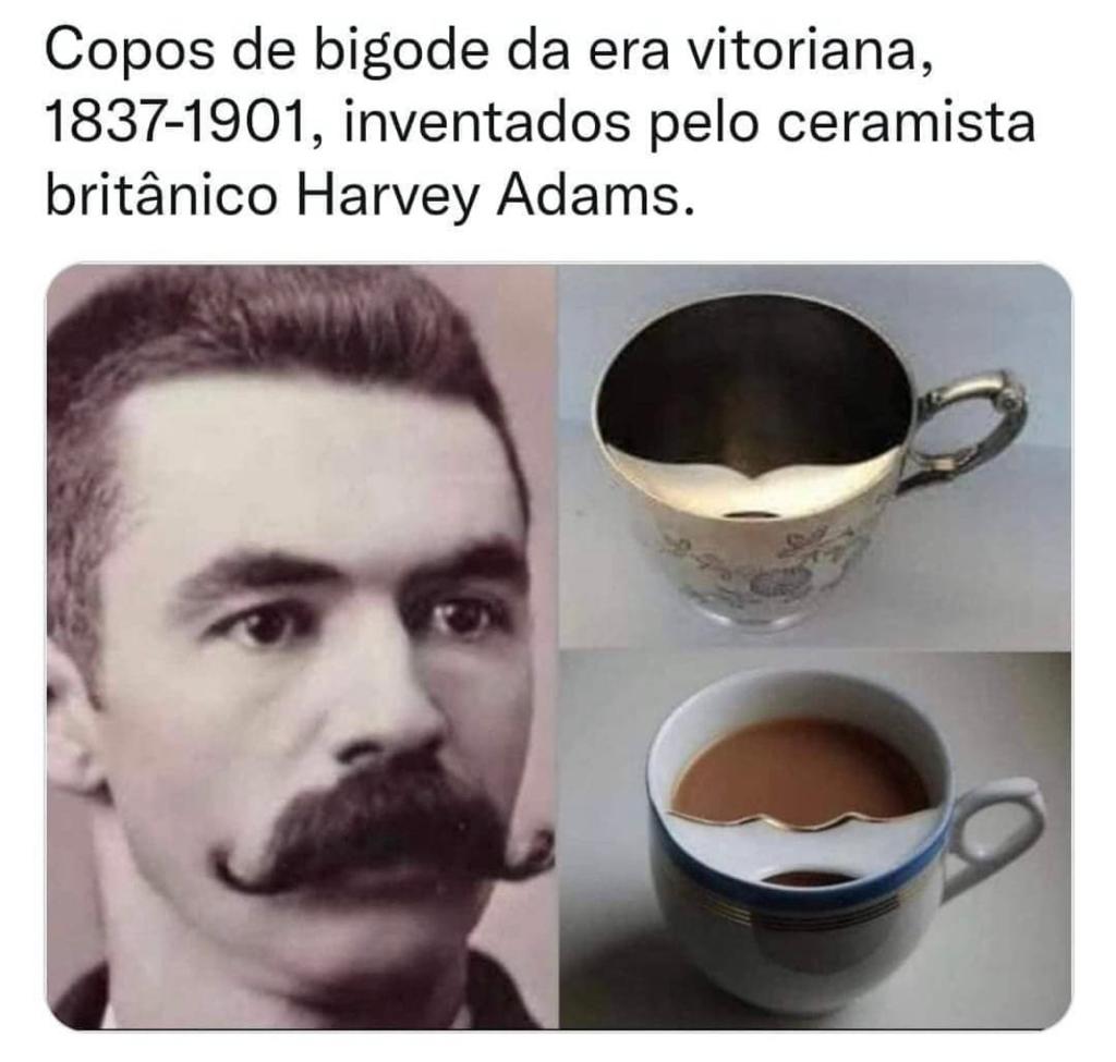 Achei chique, e você?