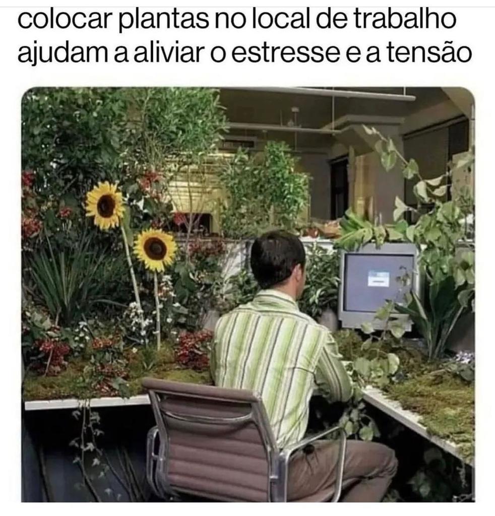 Meu escritório depois que descobri isso