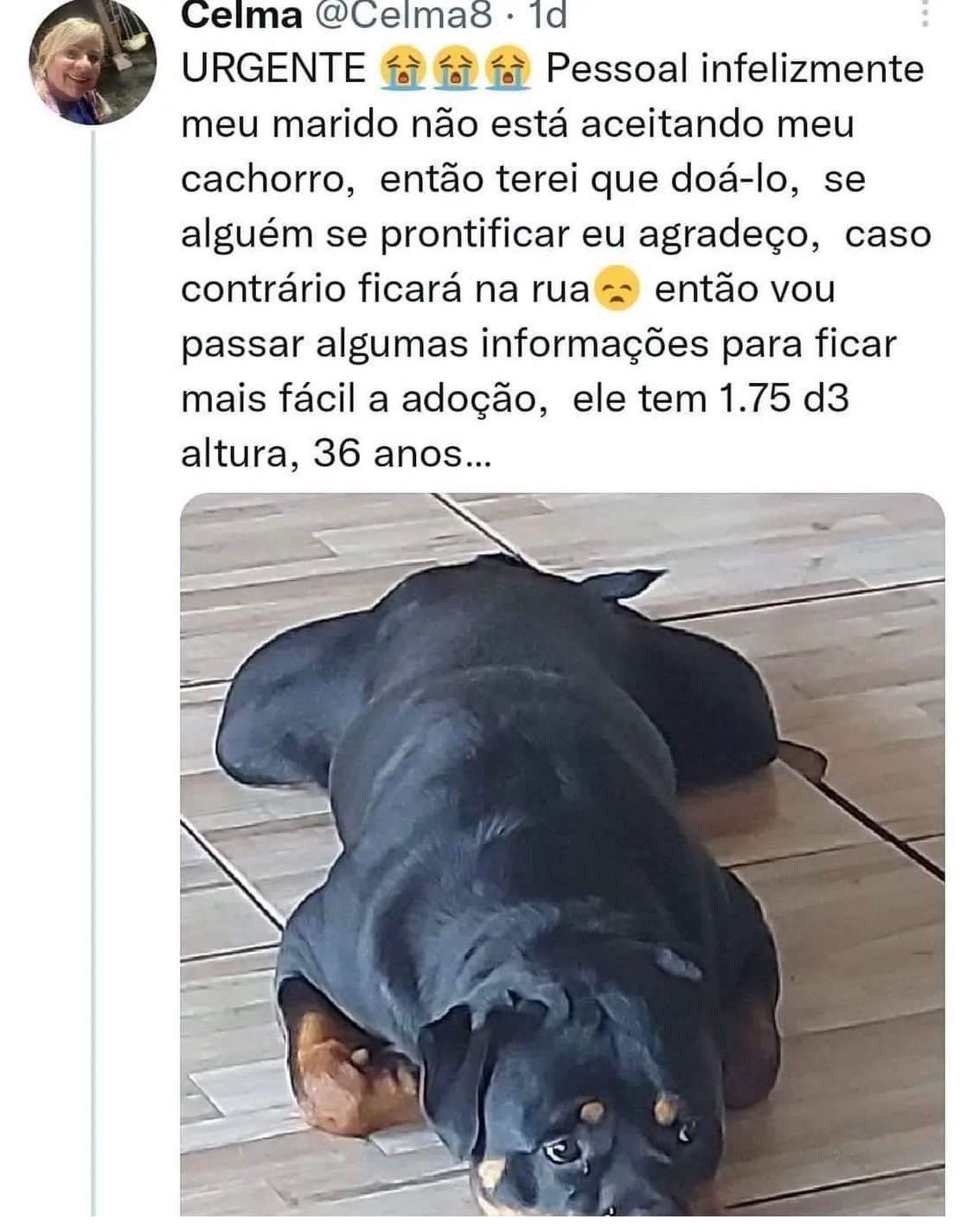 Marido disponível para adoção