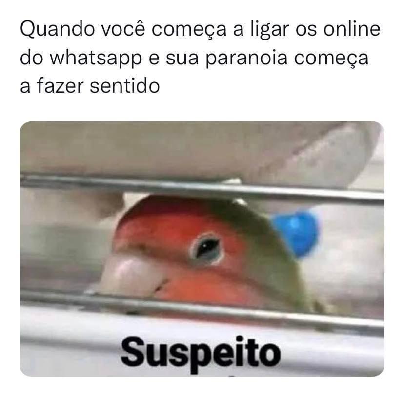 Quando minhas paranóias começam a fazer sentido
