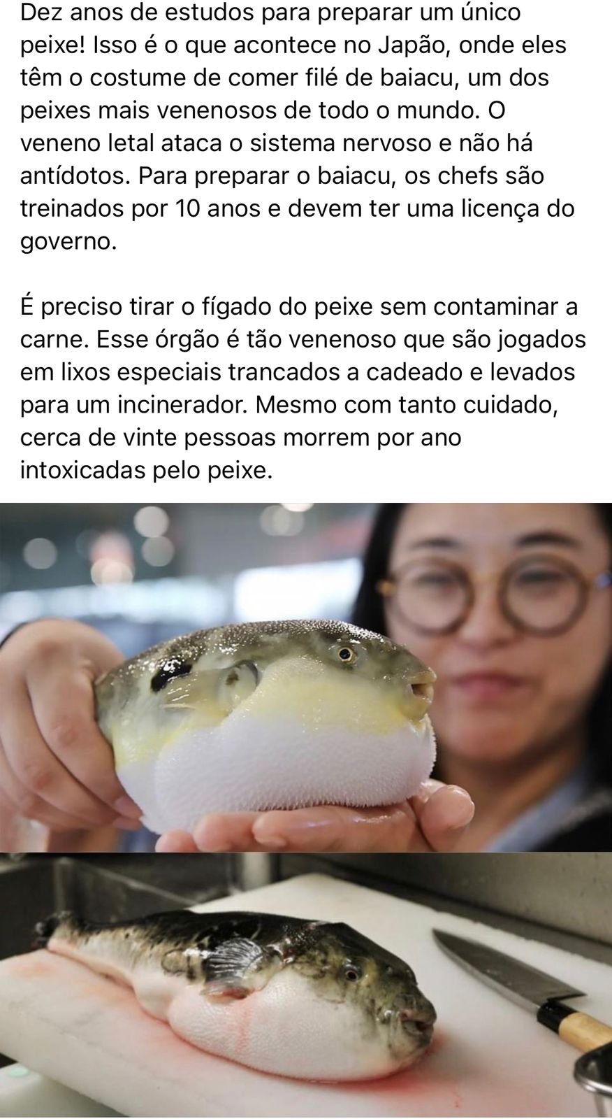 Por que, Japão. Por quê?