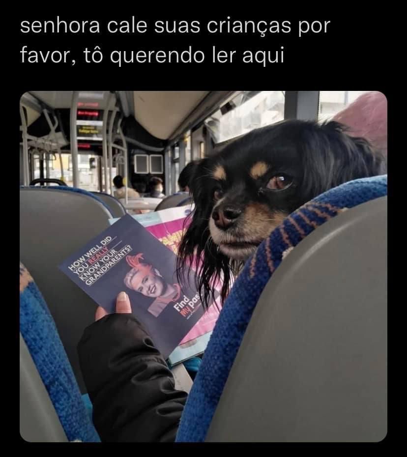 Senhora, por favor senhora