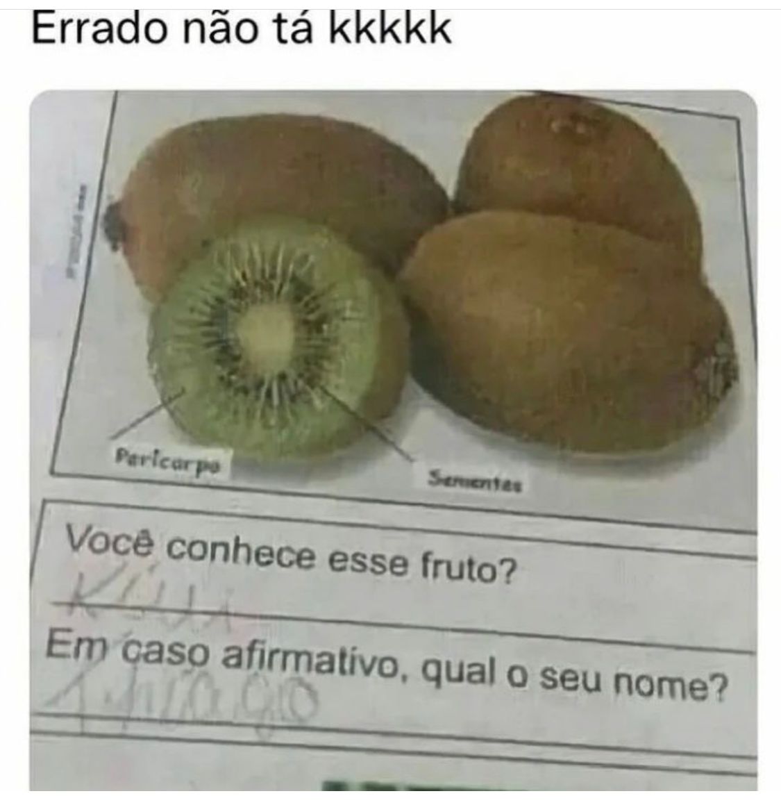 Errado não tá