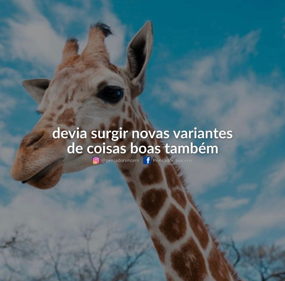 Seria massa demais