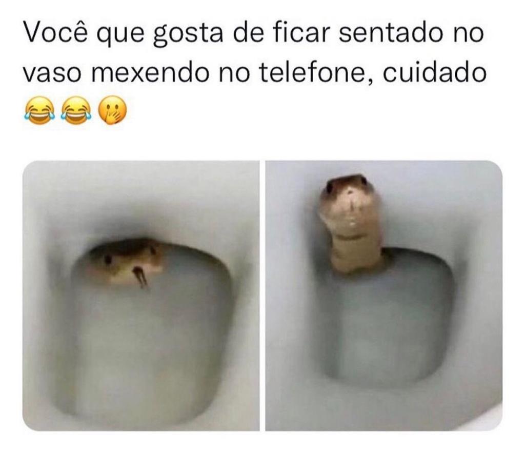 Então vc fica sentado no vaso mexendo no celular né…
