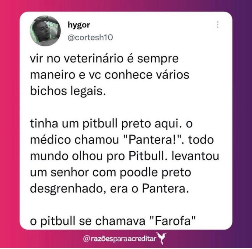 Por isso que amo ir no veterinário