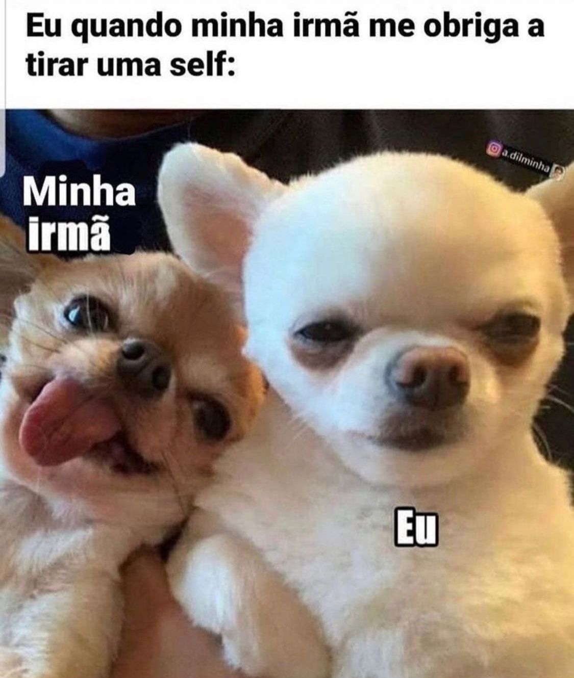 Eu quando minha irmã me obriga tirar uma selfie
