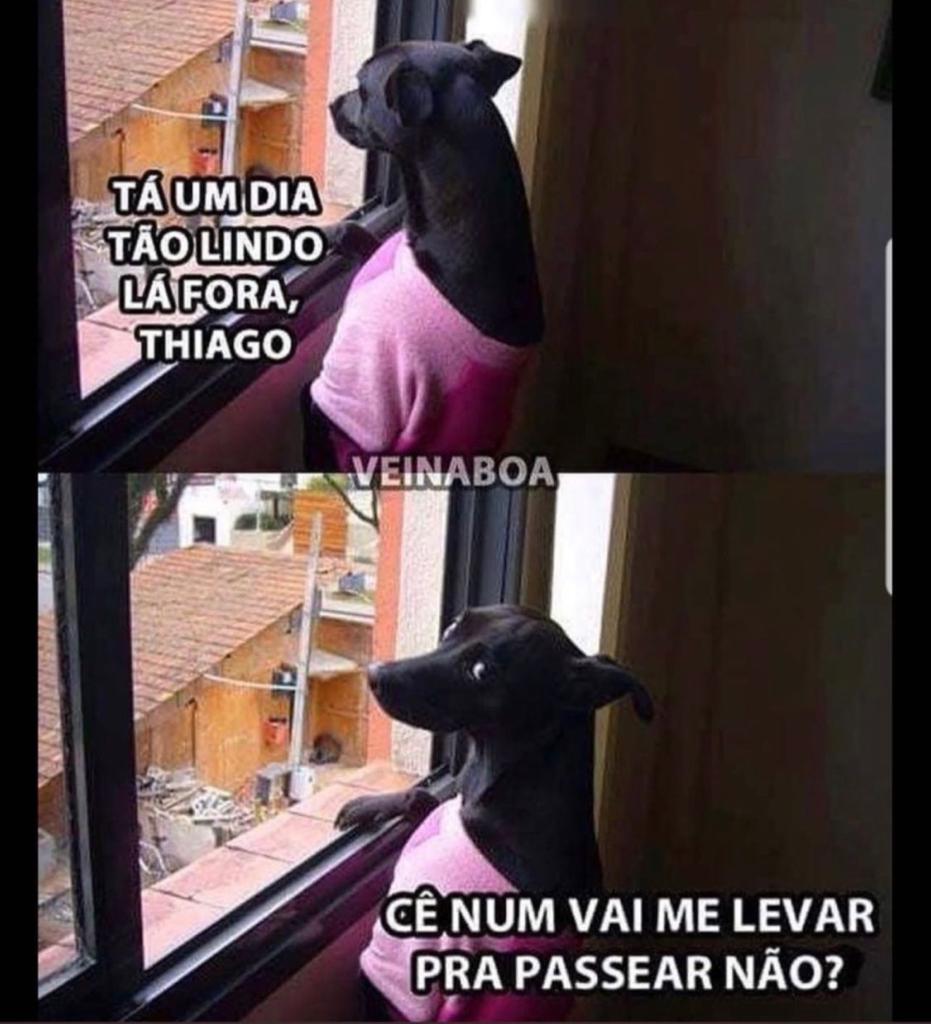 Vai me levar pra passear não?