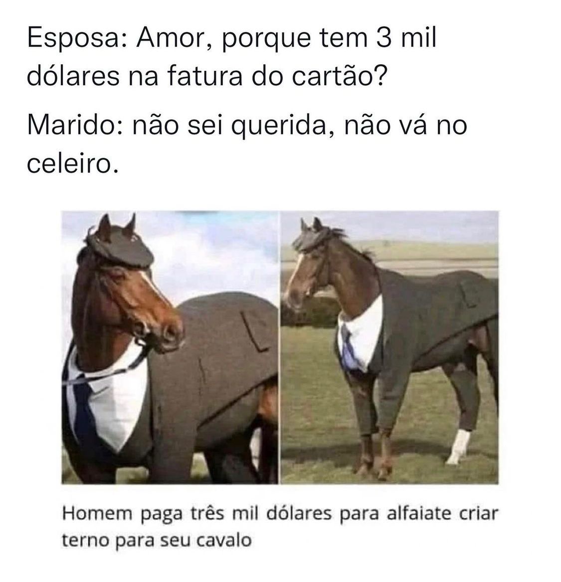 Não vai no celeiro, amor
