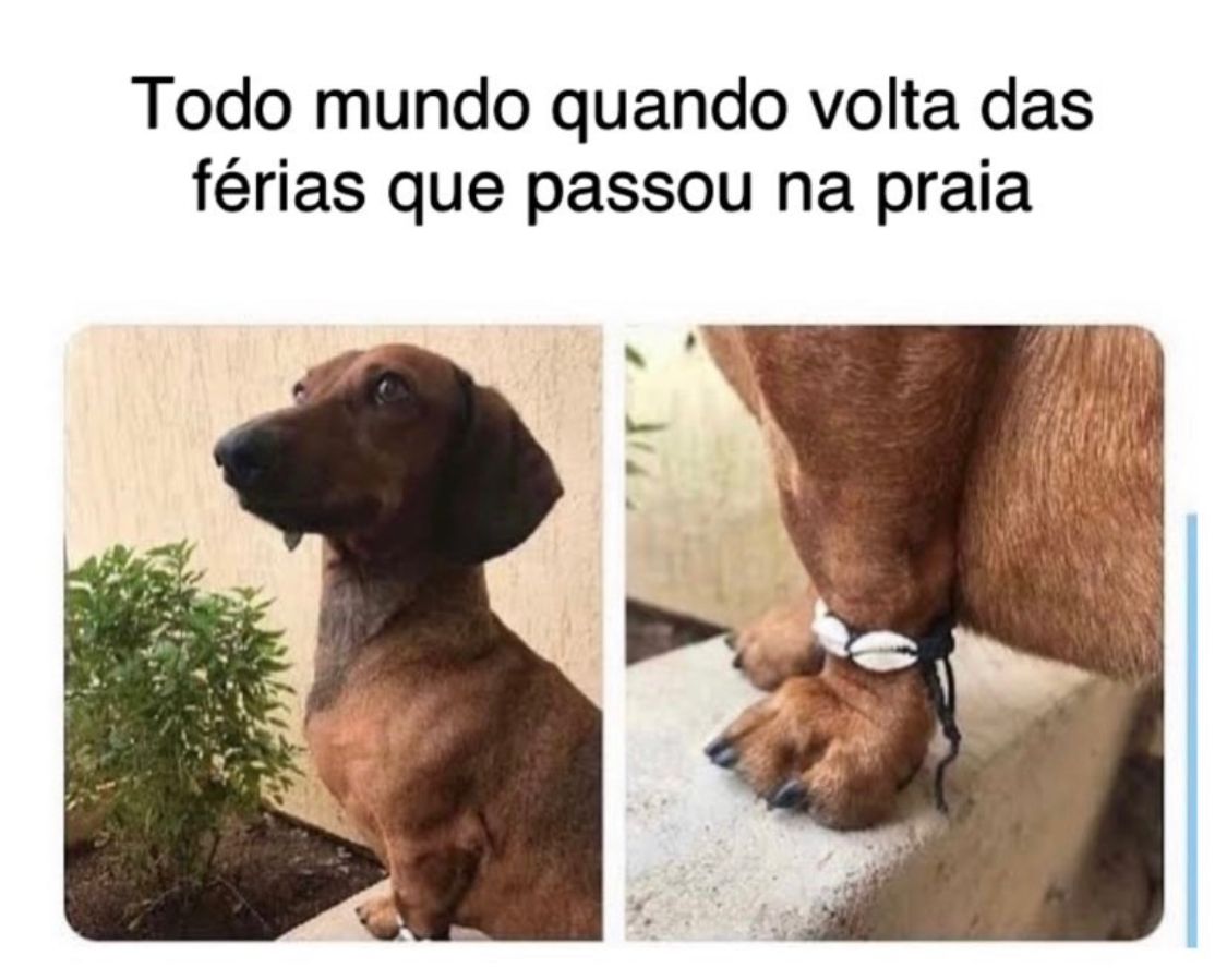 Basicamente, todo mundo!