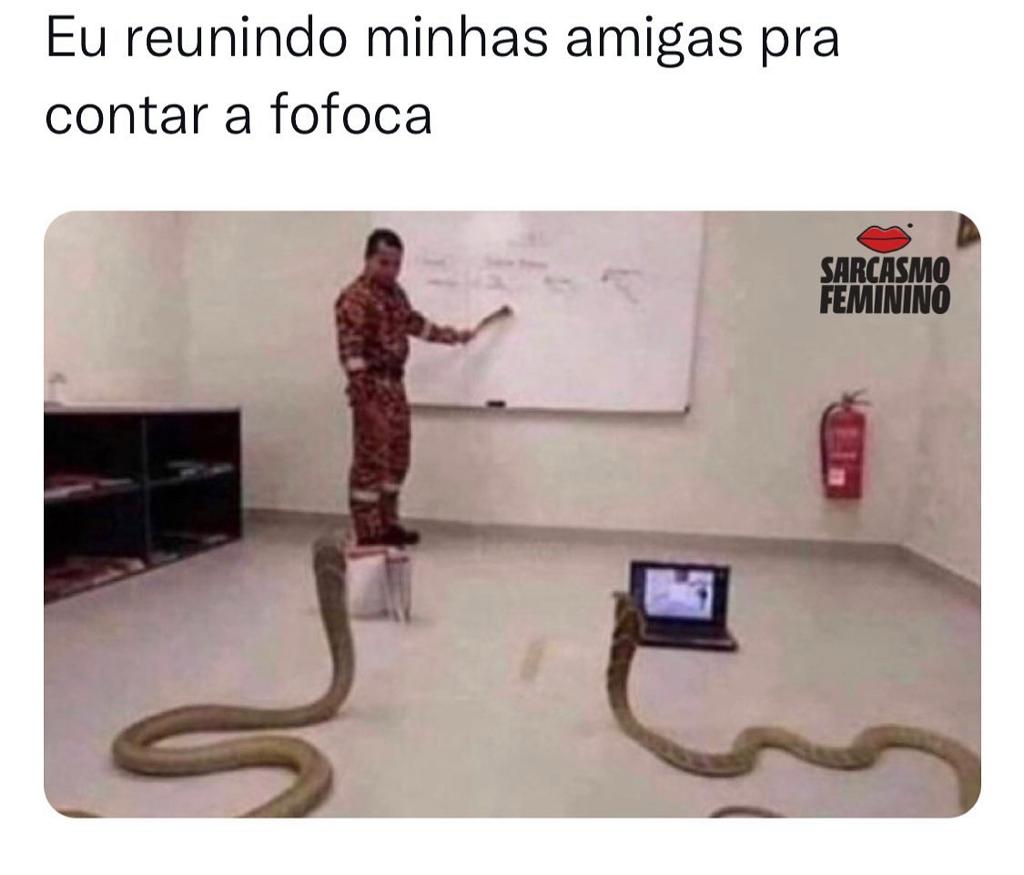 Reunindo as amigas para fofocar
