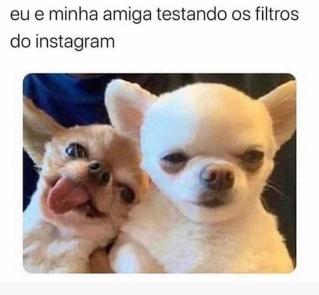 Eu e minha amiga testando filtro