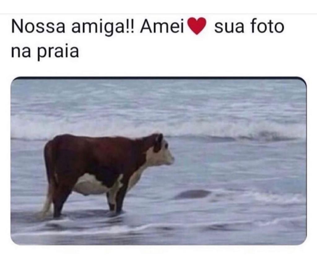 Amei sua foto na praia, amiga