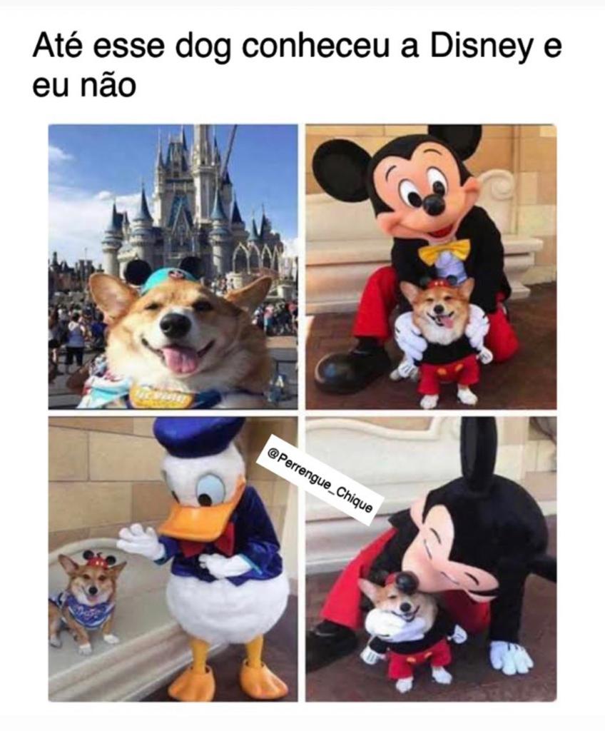 Até o doguinho foi pra Disney e eu não