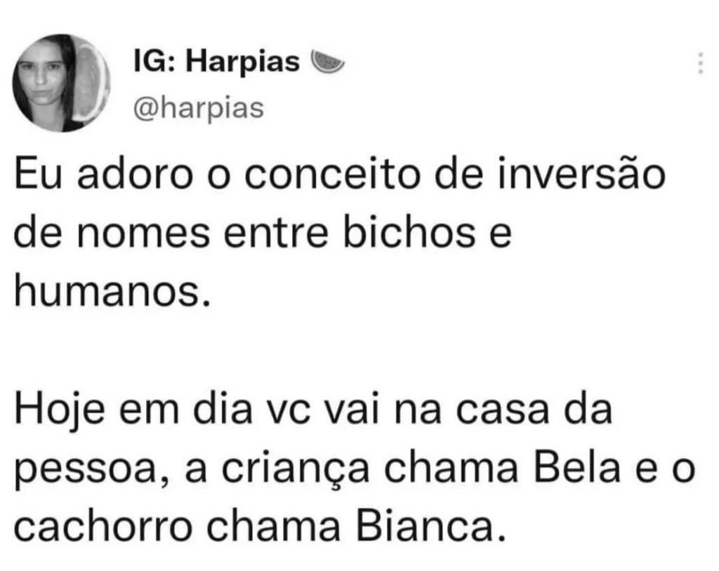 Adoro esse conceito