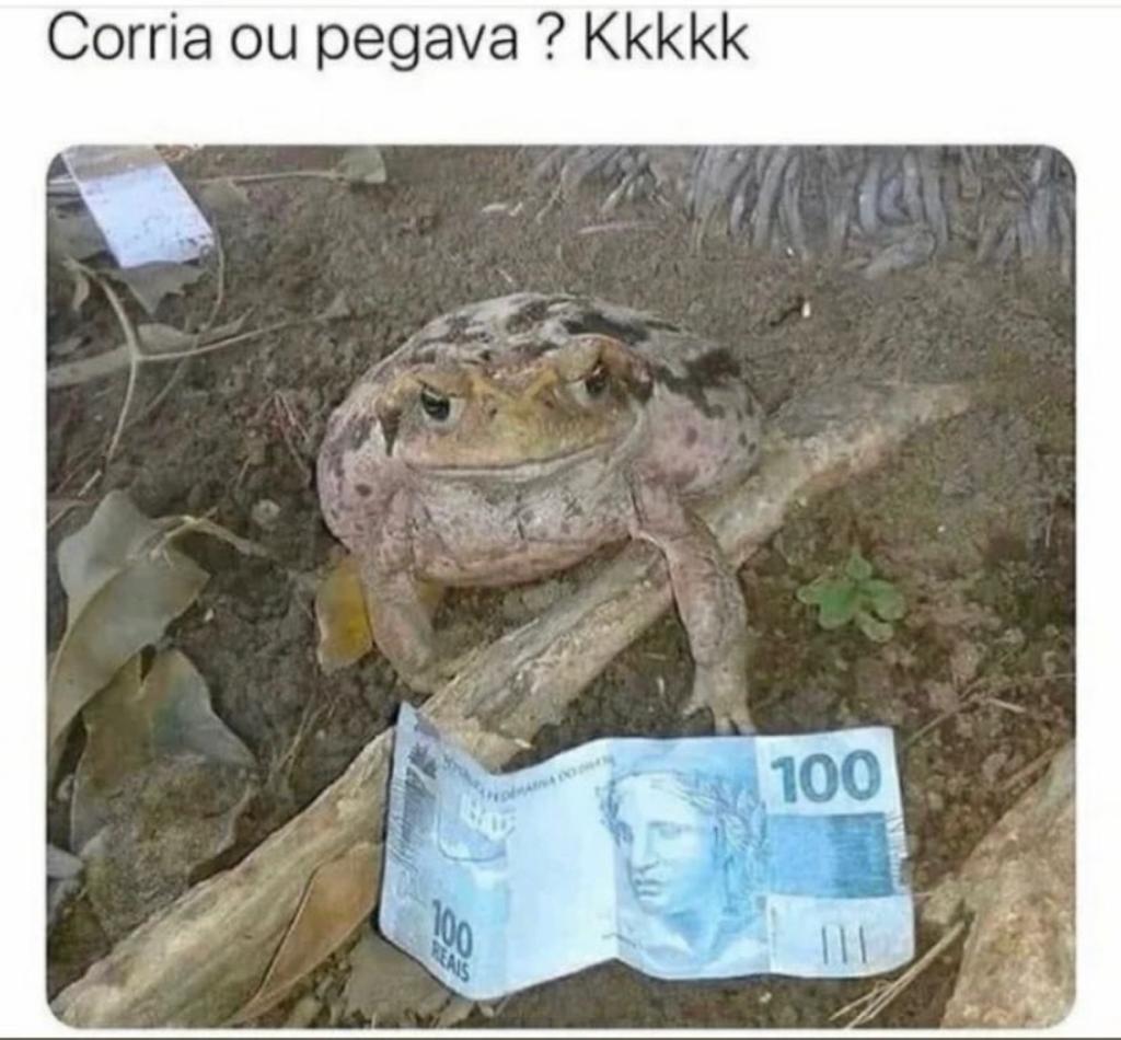Corria ou pegava?