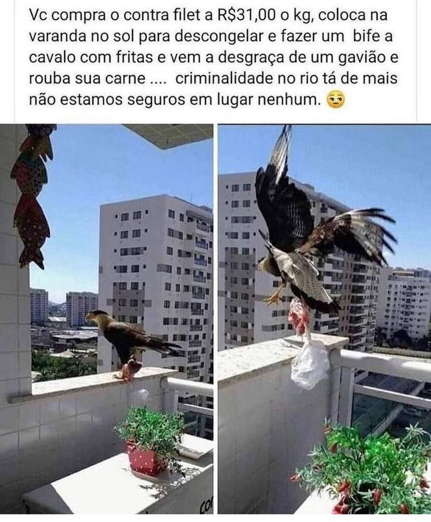 A criminalidade tá feia