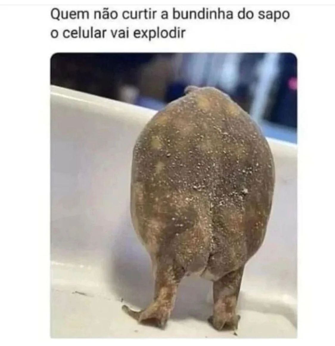 Compartilhe o sapo da bundinha