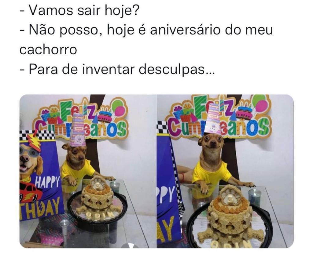 Hoje é aniversário do meu cachorro
