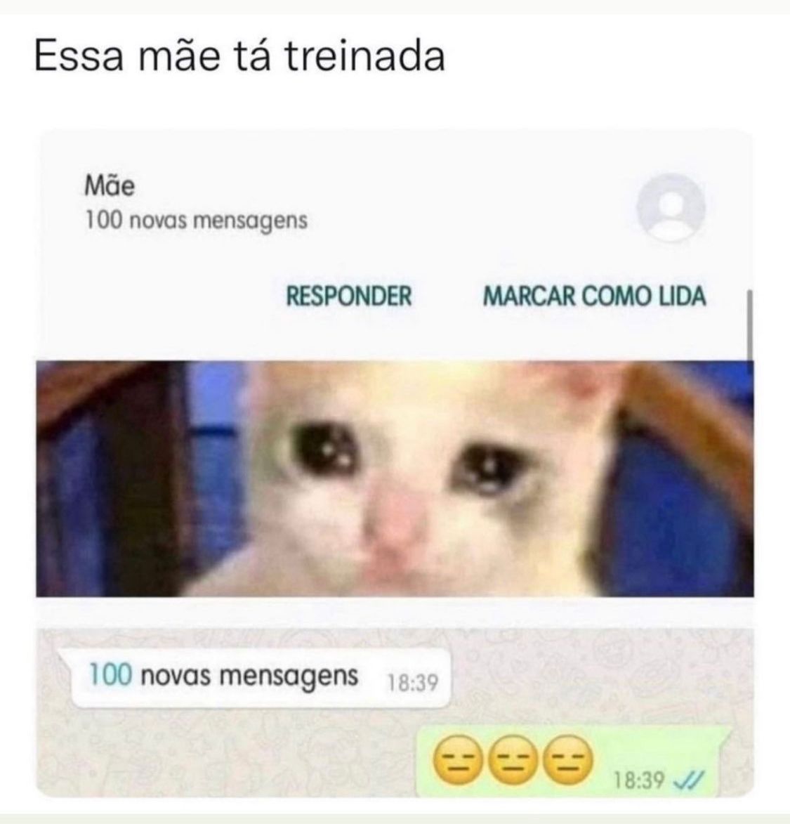 Essa mãe tá treinada