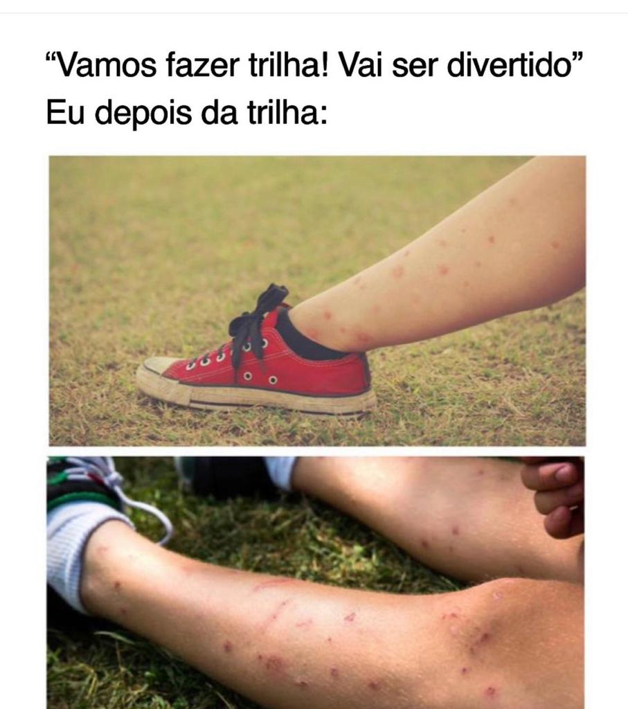 Vamos pra trilha, vai ser legal