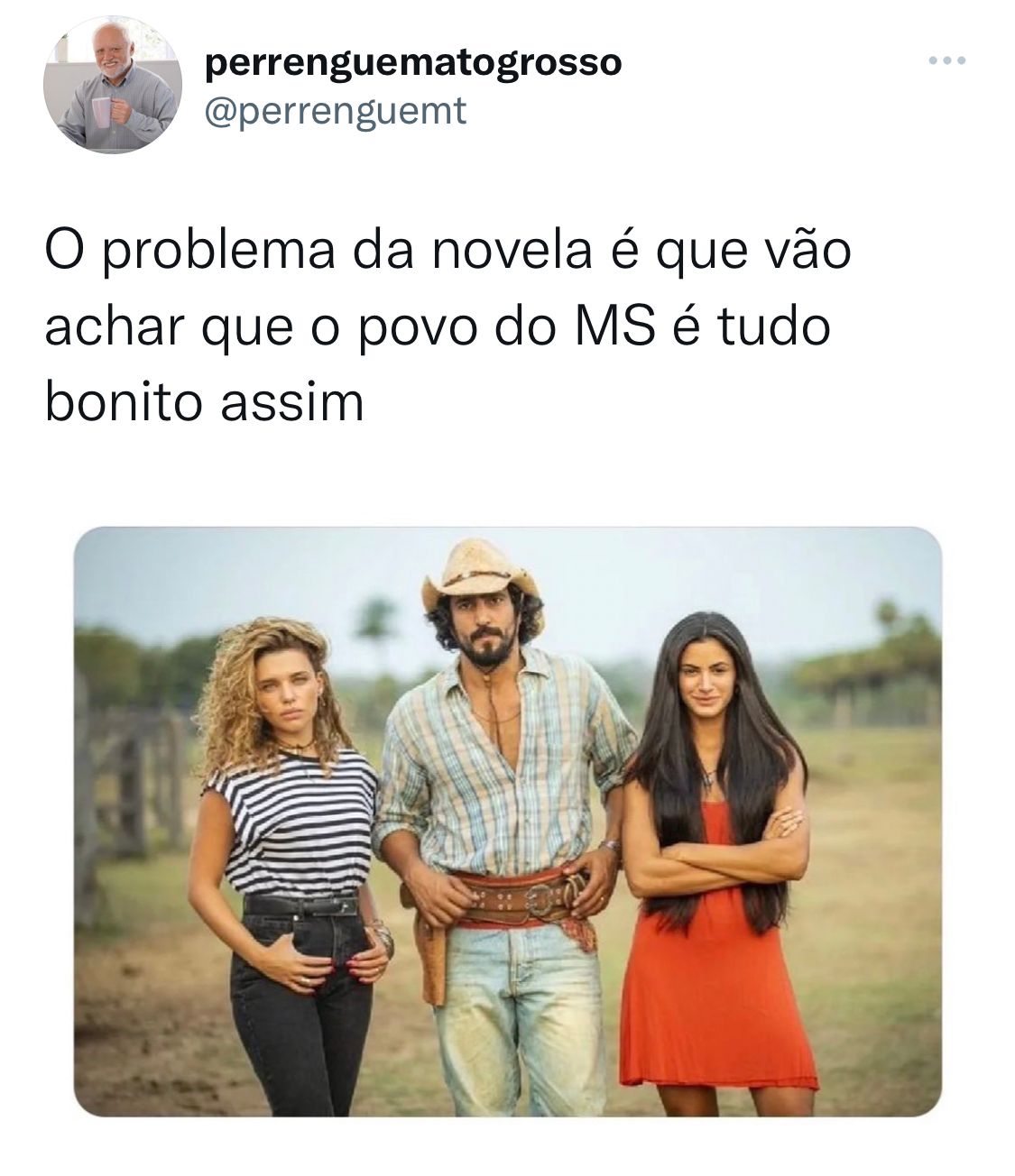O problema da novela Pantanal