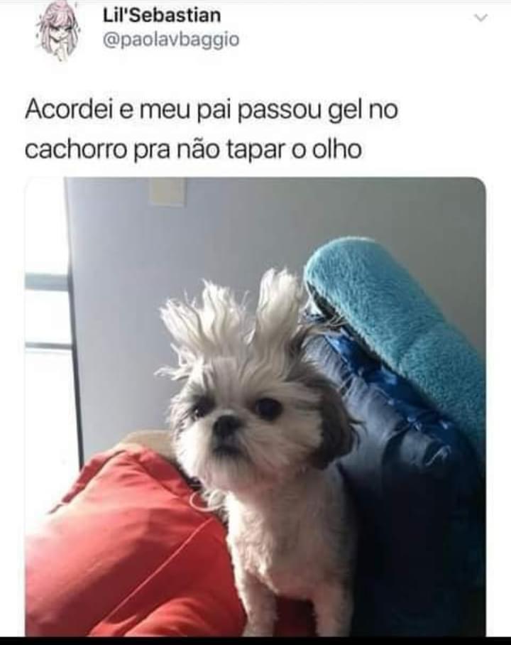 E ainda ficou estiloso