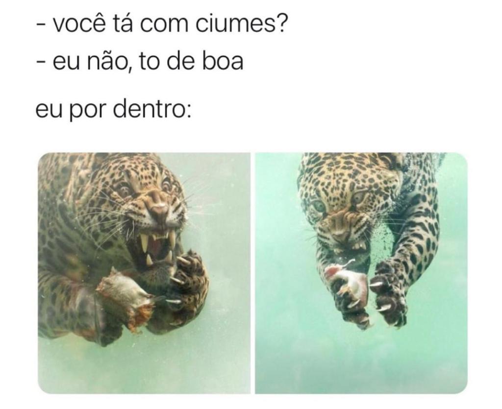 Tô de boas, zero ciúmes