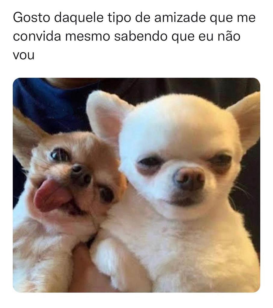 Tipo de amizade que eu gosto