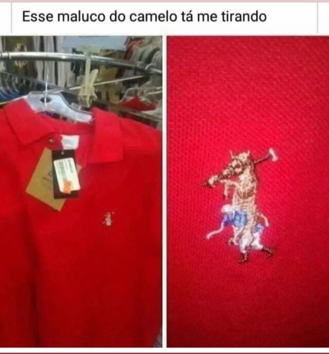 Esses maluco do camelô devem estar brincando