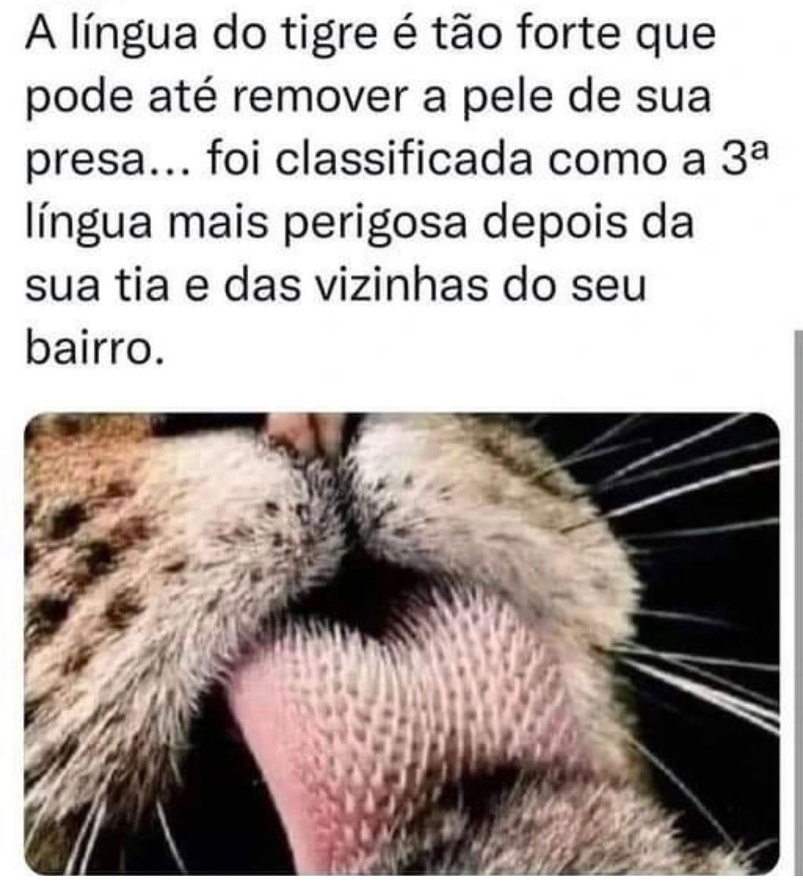 Língua forte essa