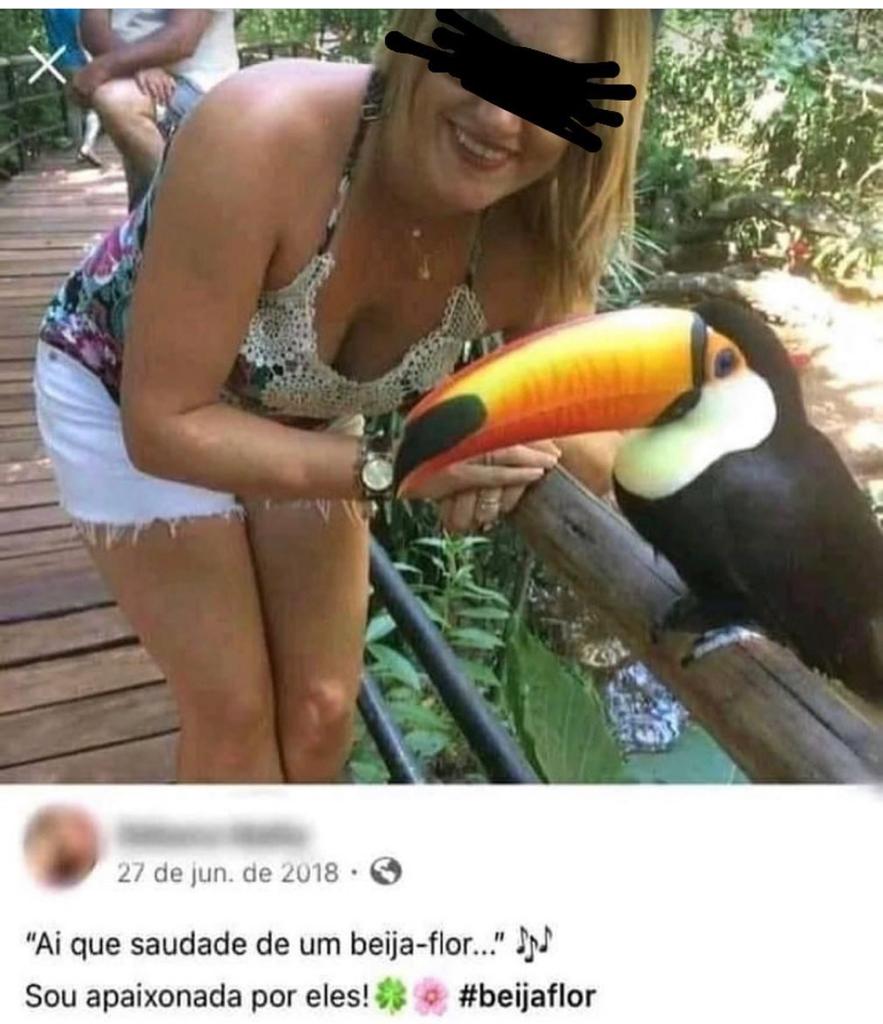 Beija-flor tá diferente