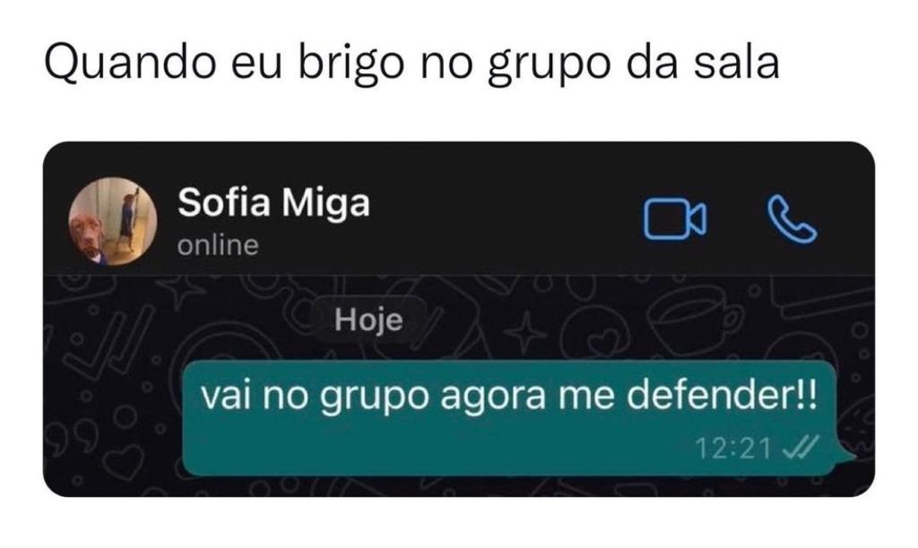 Quando eu brigo no grupo da sala