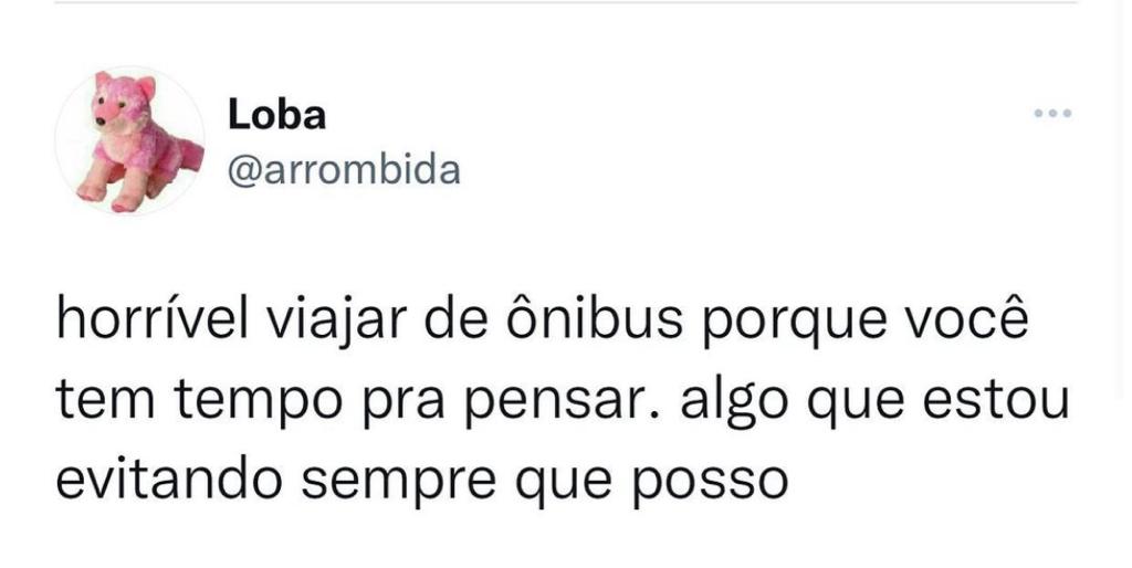 Por isso não gosto de viajar de ônibus