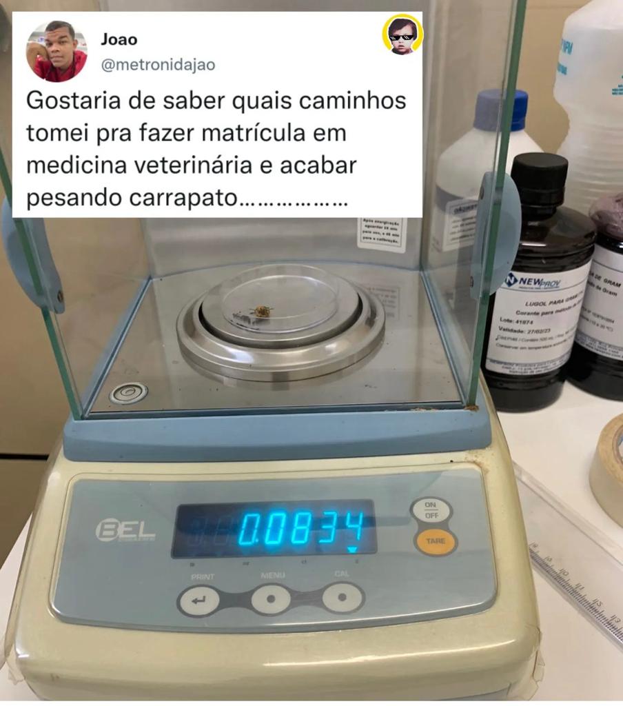 Eu nem sabia que pesavam carrapato