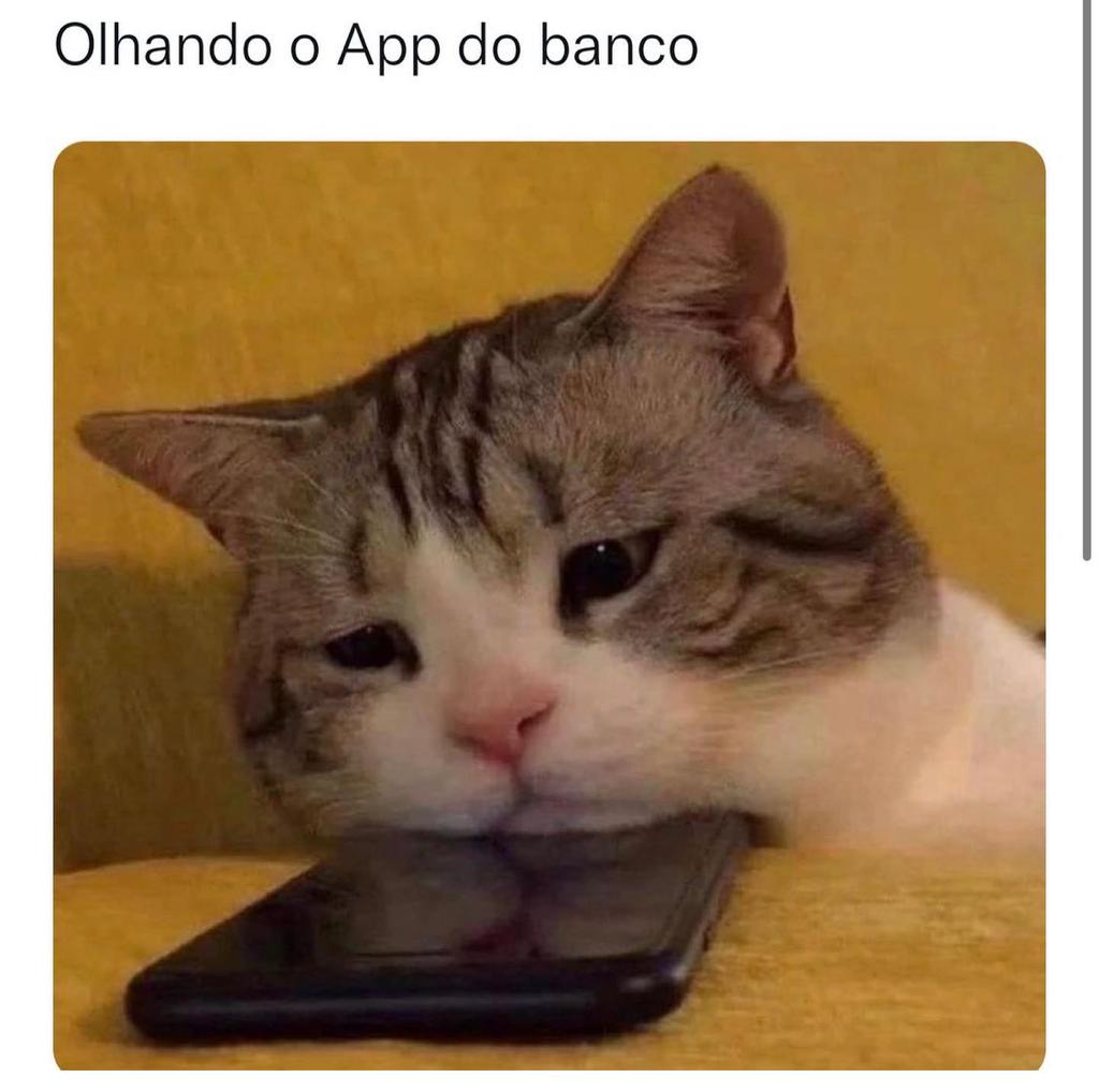 Eu olhando o app do banco