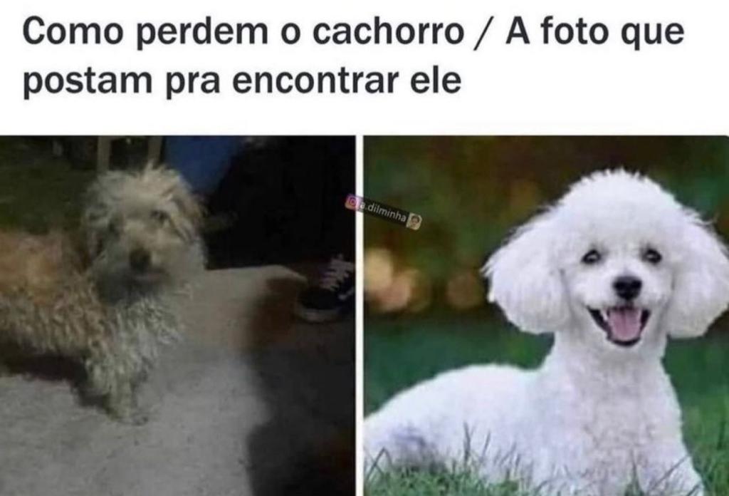 Bem assim