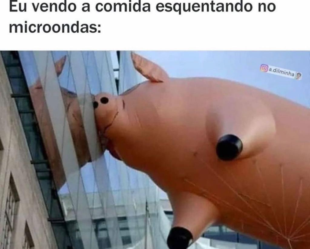 Eu vendo a comida esquentando no microondas