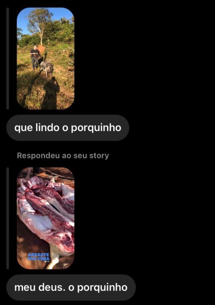 Meu Deus, o porquinho