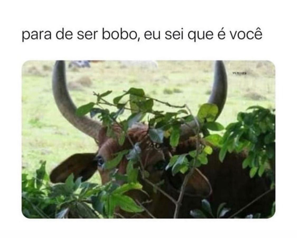 Eu sei que é você
