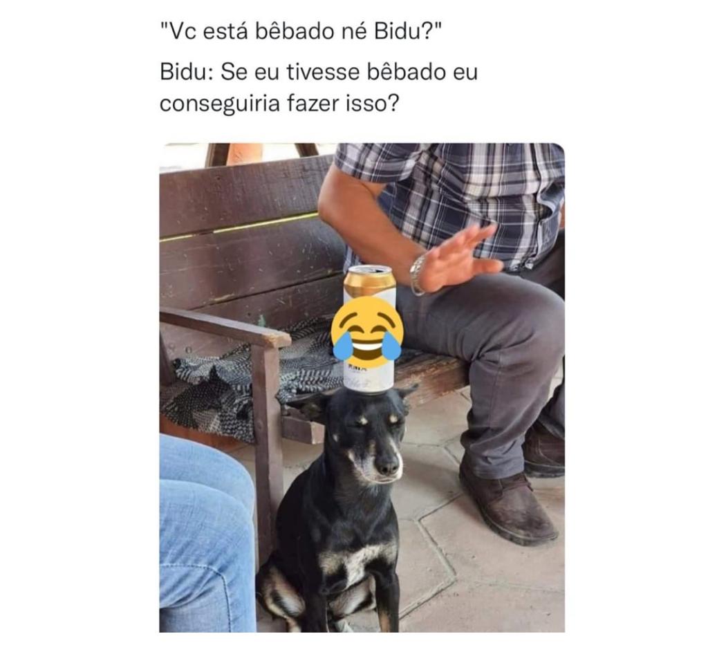 Se eu estivesse bebado, faria isso?