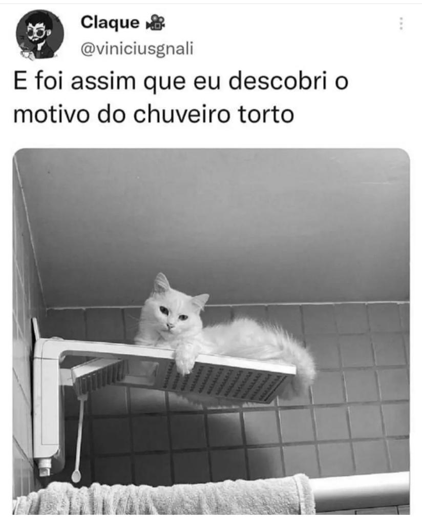 Assim descobri o motivo do chuveiro torto