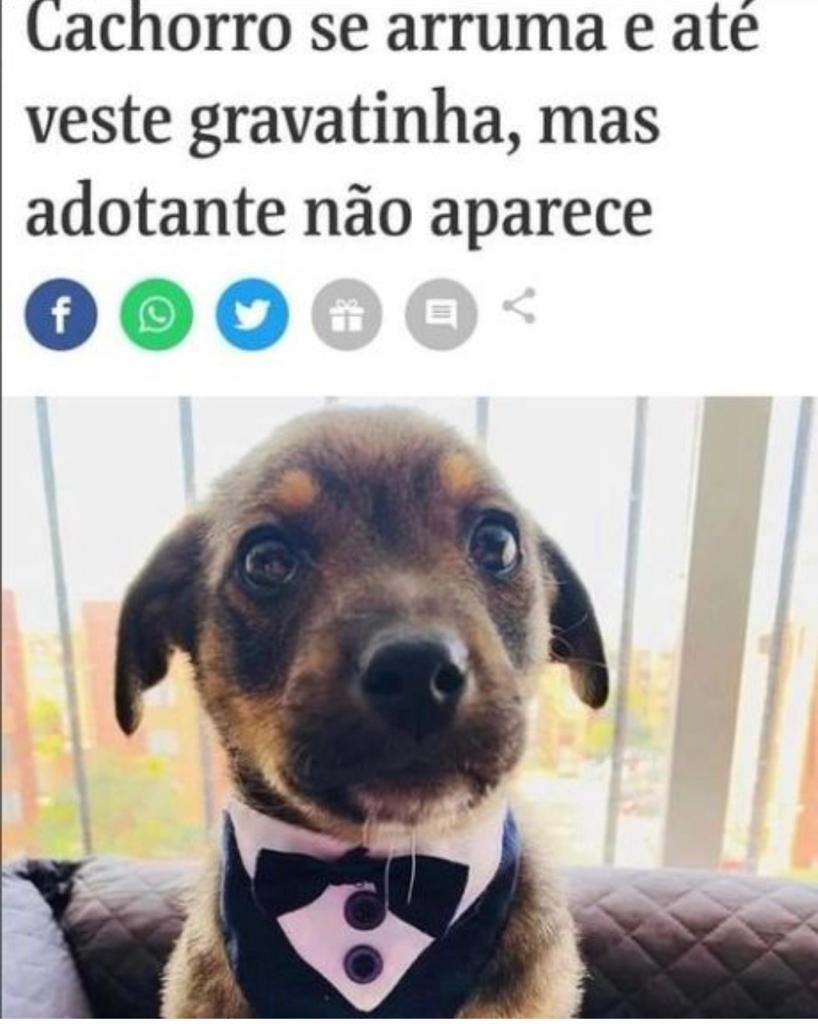 Que dozinha, meu Deus