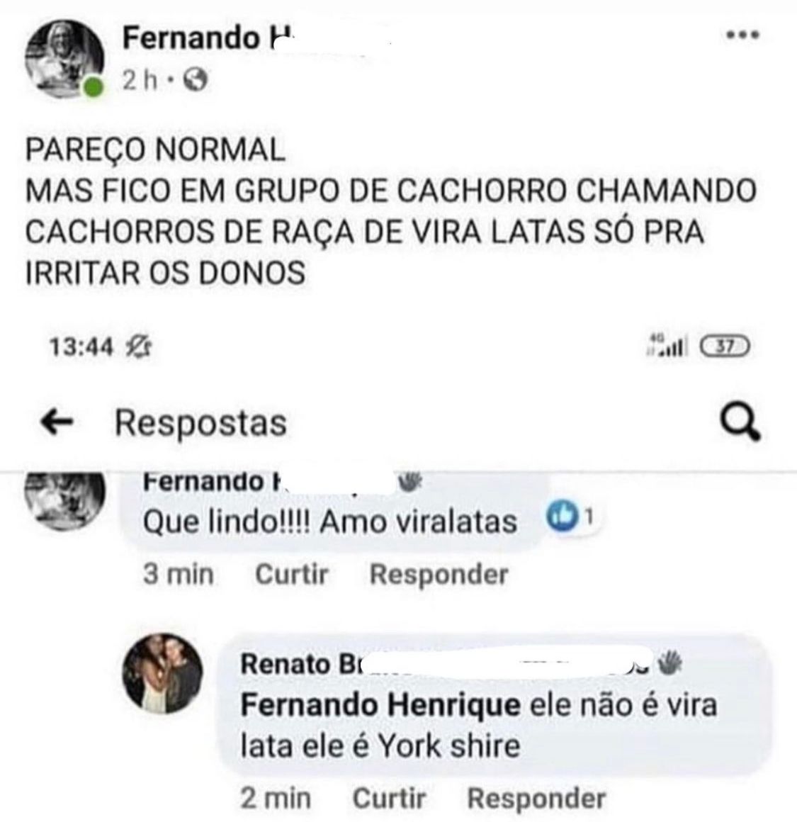 Achei genial a ideia